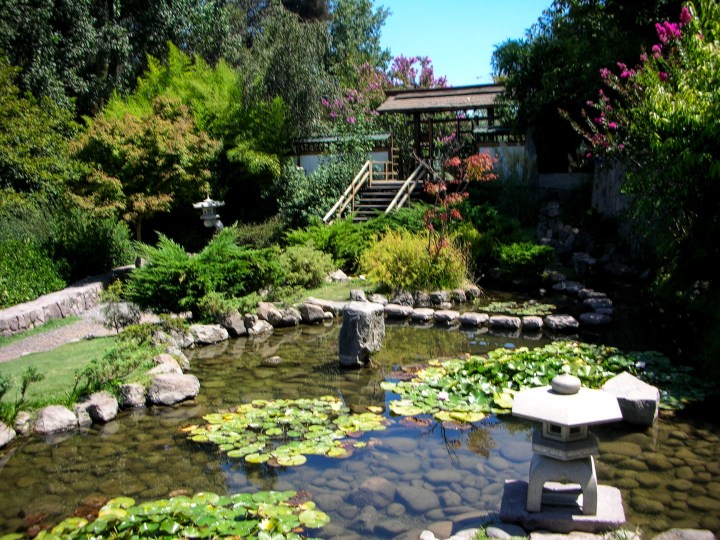 pond-in-japanese-garden
