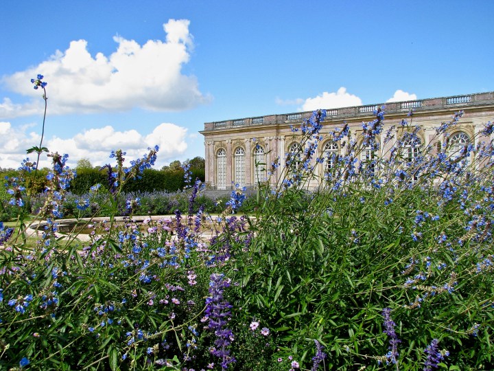 Versailles (37) copy