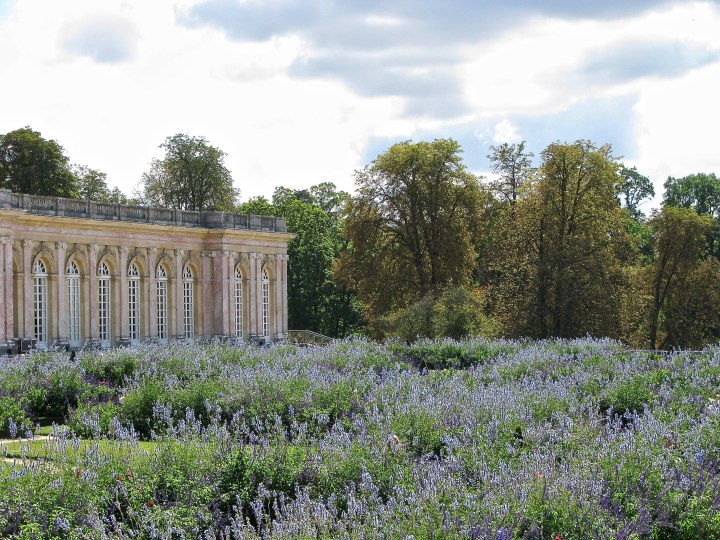 Versailles (38) copy