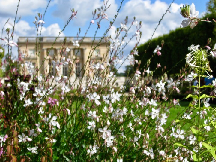 Versailles (40) copy