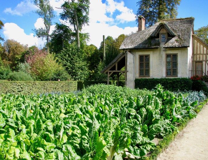 Versailles (58) copy