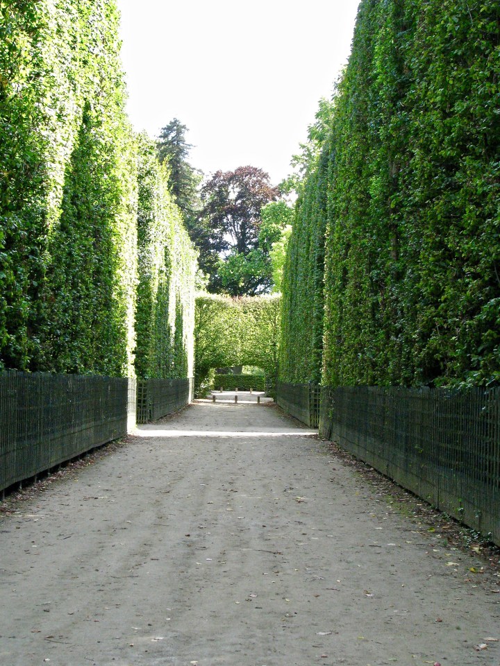Versailles (75) copy